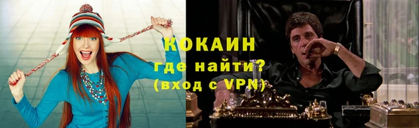 apvp Алзамай