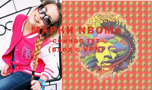 apvp Алзамай