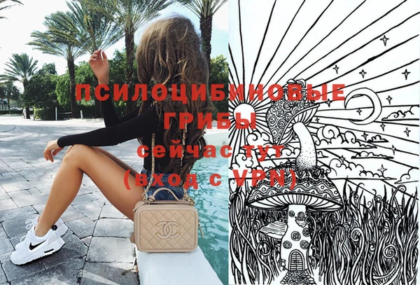 apvp Алзамай